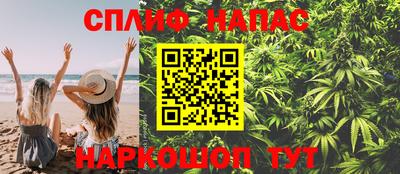 скорость Кингисепп