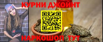 скорость Кингисепп