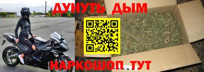 шишки Кинель