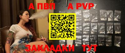 скорость Кингисепп